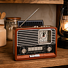 Ретро Радио Bluetooth със Соларен Панел,EVCHE EC-2113BTS | Безжични колони