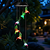 Соларен полилей Colibri с цветни LED светодиоди | Декорации и Аксесоари