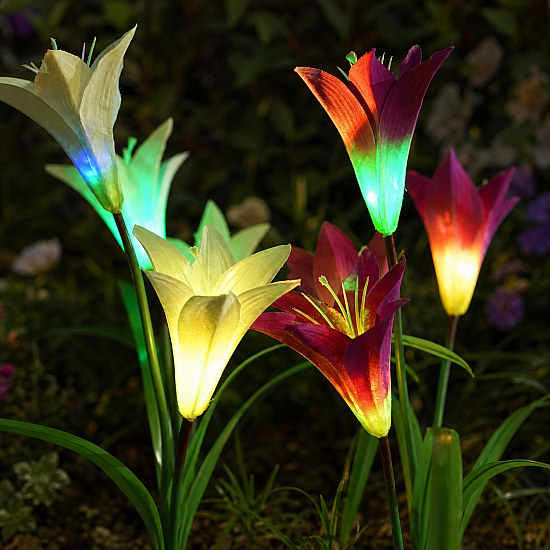 Комплект от 4 Броя Соларни Лампи Лилиум 'Solar Light Flower' - Уникално Осветление за Вашия Градински Рай Комплект от 4 Броя Соларни Лампи Лилиум Solar Light Flower - Уникално Осветление за Вашия Градински Рай | Декорации и Аксесоари
