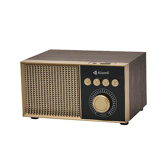 Тонколона Kisonli G10, Bluetooth, USB, SD, RGB, AUX, FM, Различни цветове - 22308 | Безжични колони