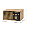 Тонколона Kisonli G10, Bluetooth, USB, SD, RGB, AUX, FM, Различни цветове - 22308 | Безжични колони