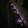 Клиентска снимка LED соларна роза