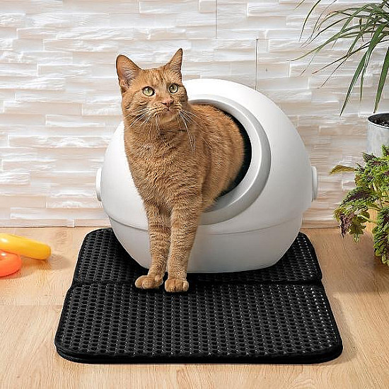 Подложка за Котешка Тоалетна Clikatt InnovaGoods | Домашни любимци